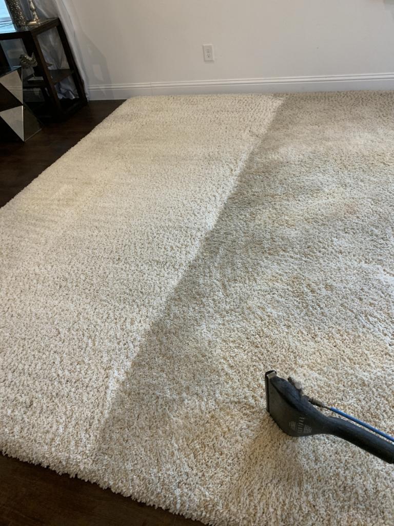 Carpet cleaning