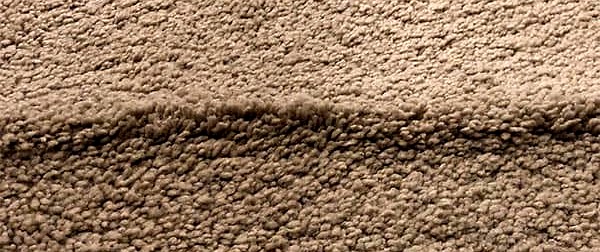 Buckled carpet needing professional restretching